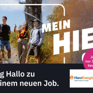 Werkstudent (m/w/d) (Harz Energie)