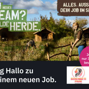 Anlagenleitung Hotelreinigung (m/w/d) (Serengeti-Park Hodenhagen)